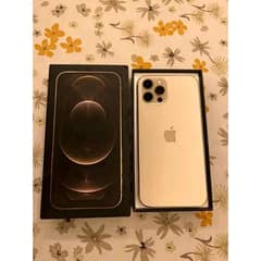 Apple iPhone 12 Pro Max Gold My Whatsp 0341:5968:138