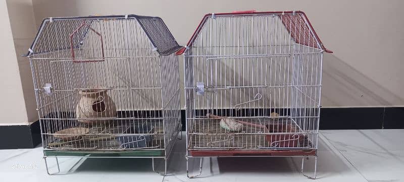 BIRDS CAGE . 0