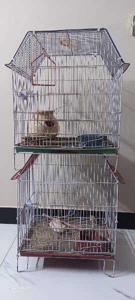 BIRDS CAGE . 1