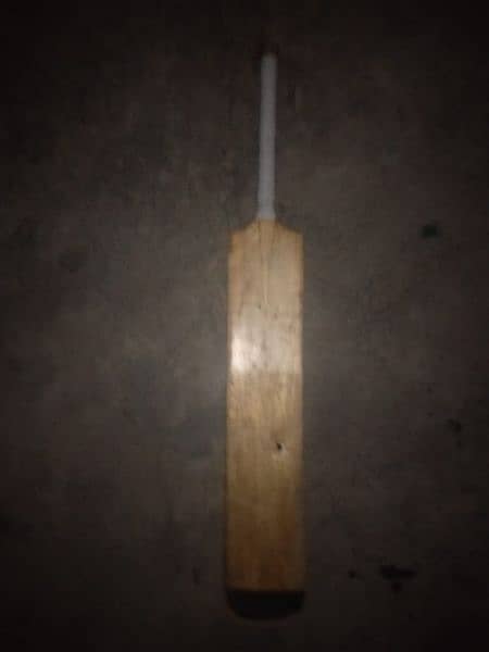 this bat is so powerful & lightweight 3