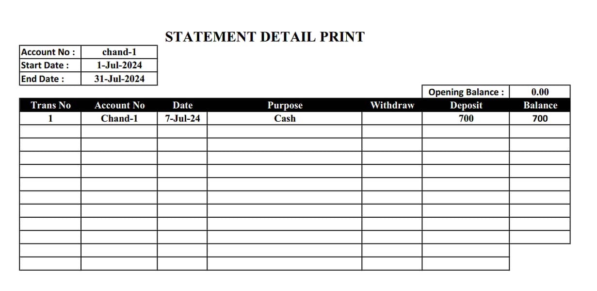 Debit and Credit Plus Balance Plus Report Auto Generate Software 4