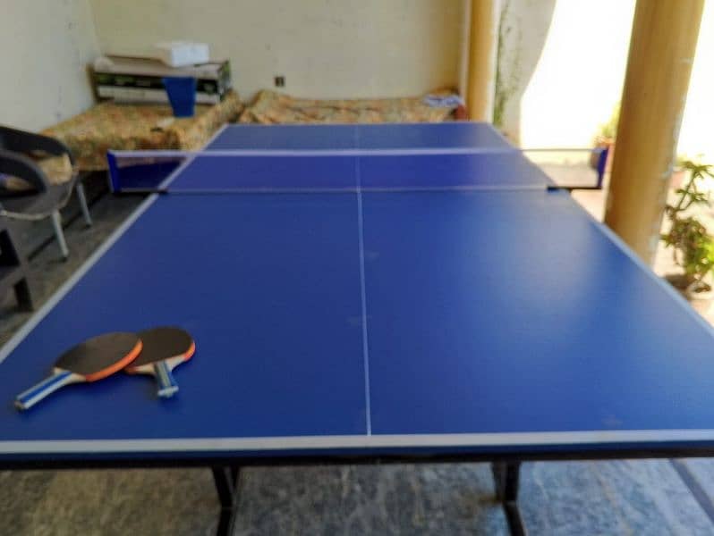 Table tennis table 1