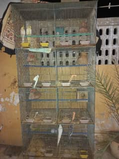 8 Portion cage for sale