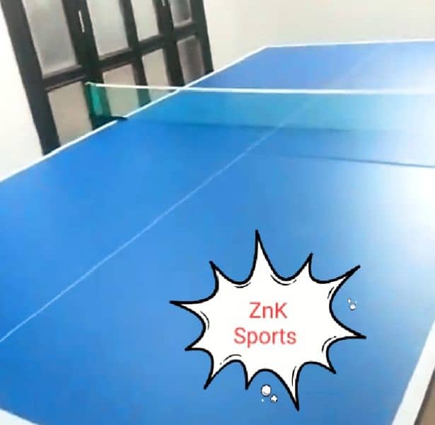 Table tennis table 11