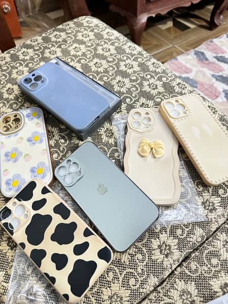 iPhone 13 Pro Max cases 0