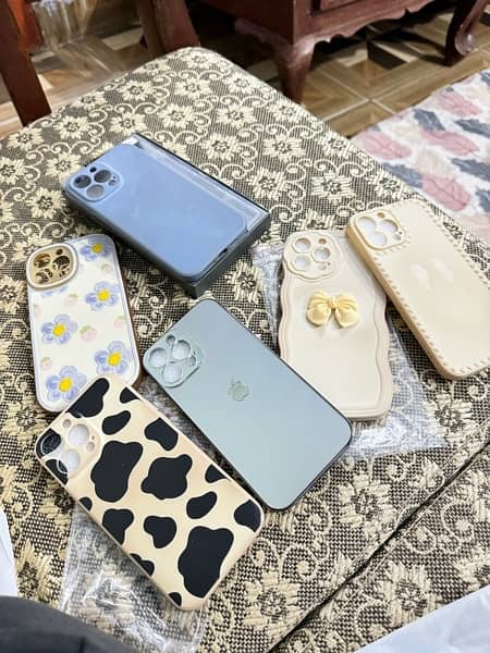 iPhone 13 Pro Max cases 1