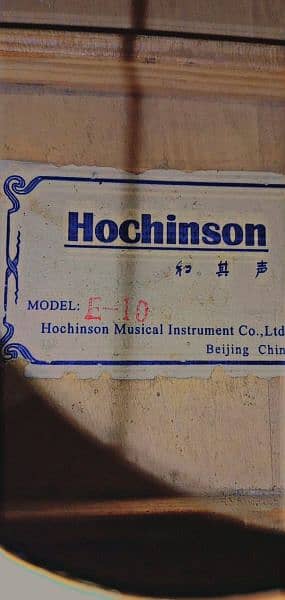 Hochinson E_10 Guitar Musical instrument 1