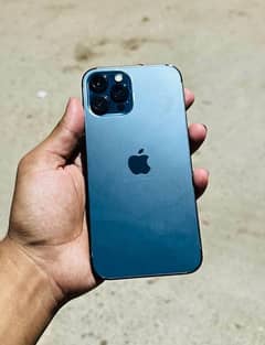 iphone 12 pro max approved