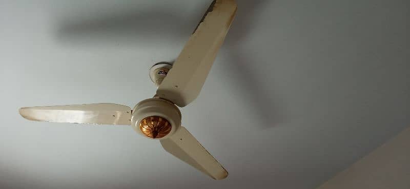 Very Good Condition Sonex Ceiling Fan 9.9/10 3