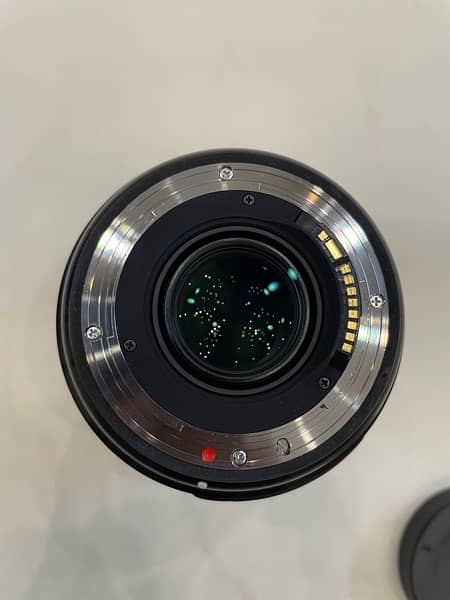 sigma 24-70 f2.8 art lens 2