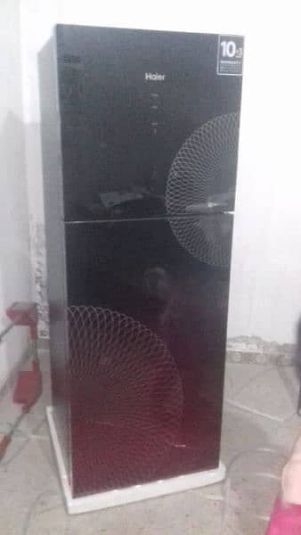 Hair refrigerator 1