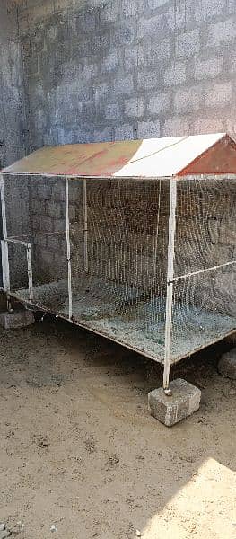 hen cages panjra mbl 03168858677 2