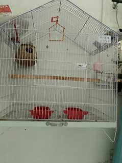 Lovebird with Cage