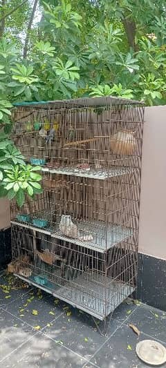 Cage with birds. *URGENT FOR SALE*