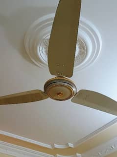 Royal ceiling fans Energy efficient 73W power consumption