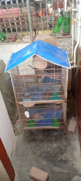 cage for sale 1