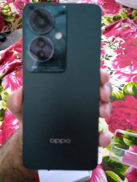 Oppo reno 11F 5G 2