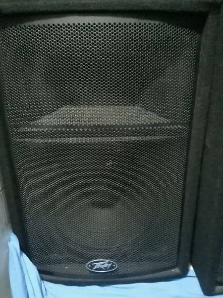 Peavey sp2  PA speakers 2