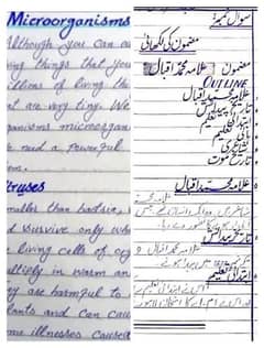 i can write assignment in(urdu and English language) in low budget
