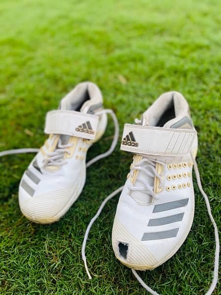 adidas cricket spikes shoes 1