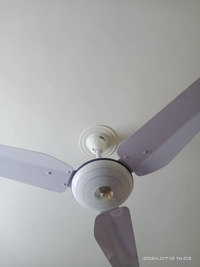 Airex fan 1