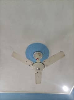 fan for sale 8k