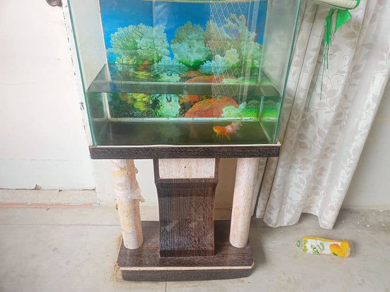 aquarium for sale in good condition 1
