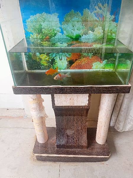 aquarium for sale in good condition 2
