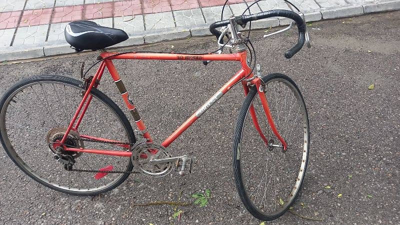 Orient 10 speed 2