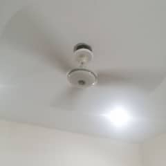 New brand fan available