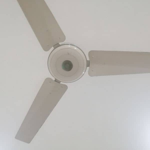 New brand fan available 6