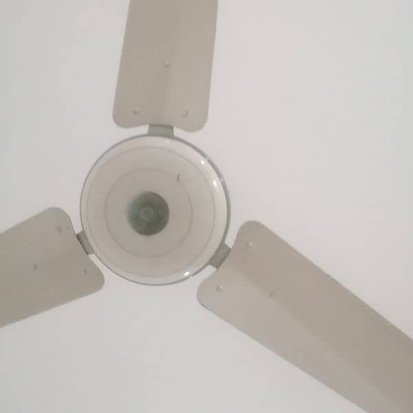 New brand fan available 7