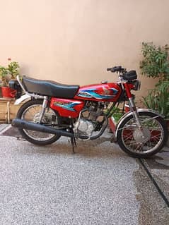 honda 125 2024 only what app number 03130976012