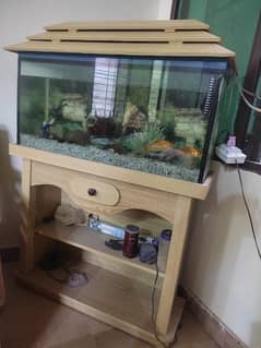 Fish aquarium + Accessories + Fishes