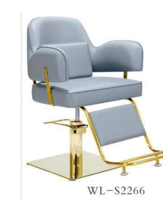 Stylish and Comfortable Saloon Chairs for Sale 3