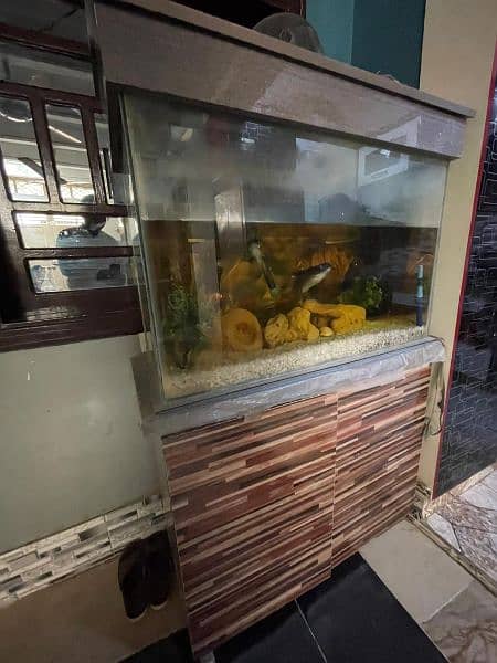 Aquarium/Aquarium for urgent sell 1