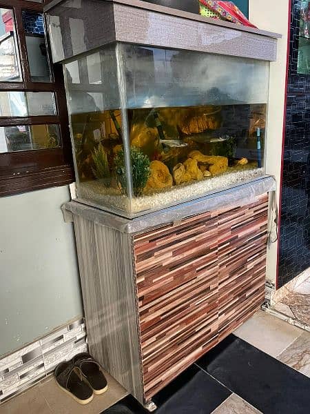 Aquarium/Aquarium for urgent sell 5