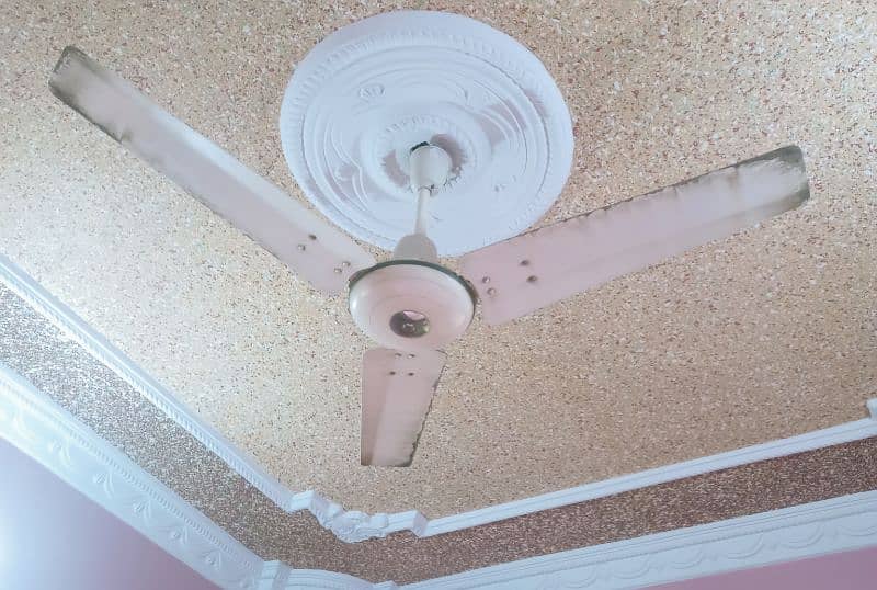 5 Royal ceiling fan 1