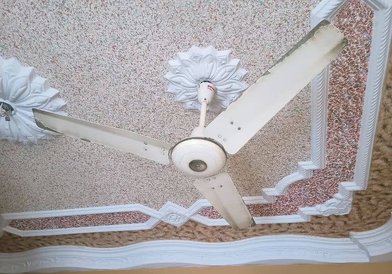 5 Royal ceiling fan 2