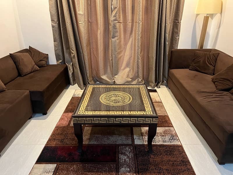 Irani rug brand new 3