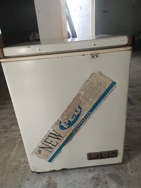 PEL single door freezer 1