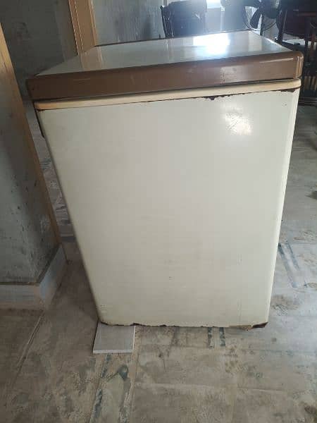 PEL single door freezer 2