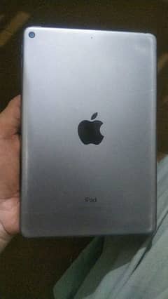 ipad mini 5 64 GB memory 17.5. 1 IOS power button hard no other issue