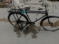 sohrab  bicycles 0