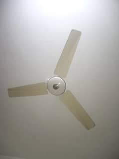 AC Fan only, 60-70 watt