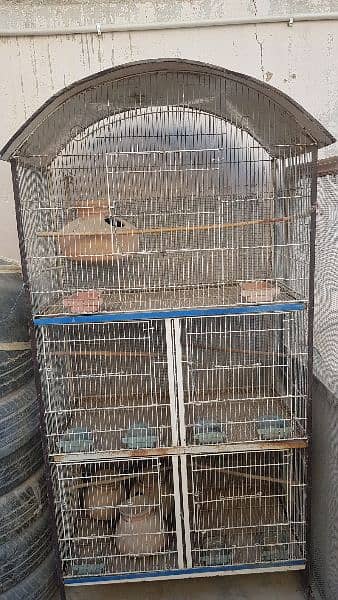 Birds Cage 5 portion 2