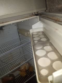 full size dowlence fridge full ok nice cooling 03123389492