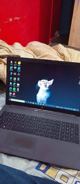Hp 250 G7 Notebook laptop 2