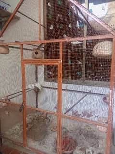 A beautiful cage for sale in very cheap price