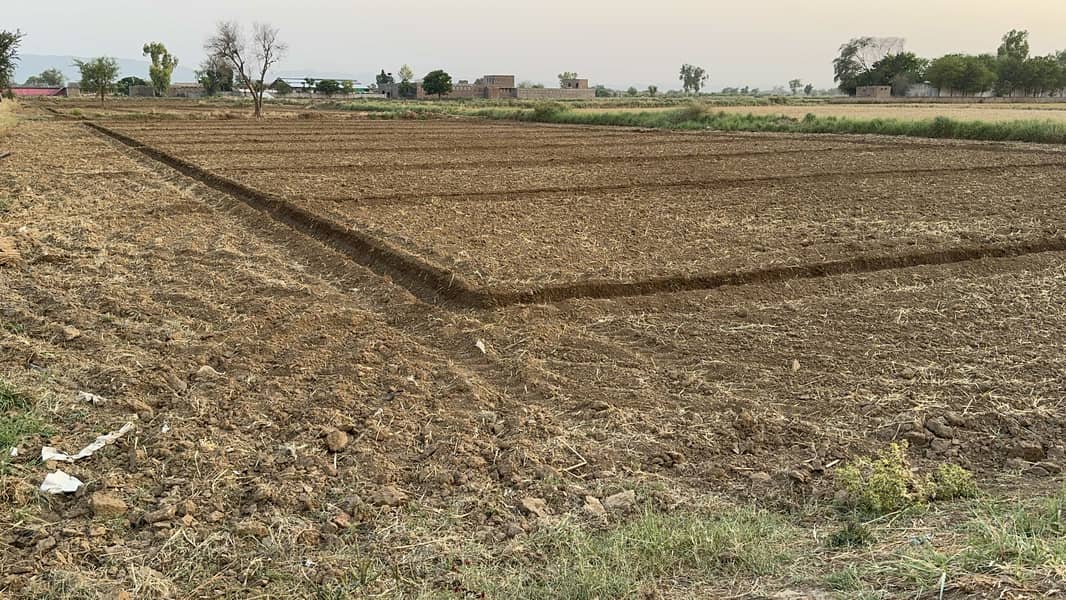 40 Kanal Agricultural Land Chakwal 4